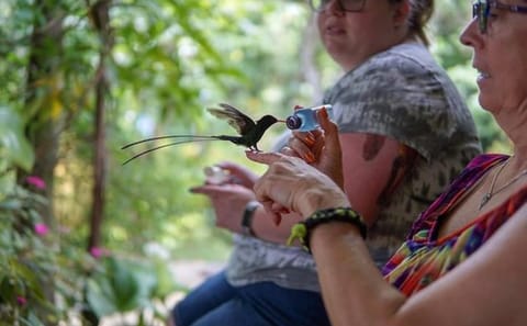 Rocklands Bird Sanctuary and Montego Bay City Highlights Tour
