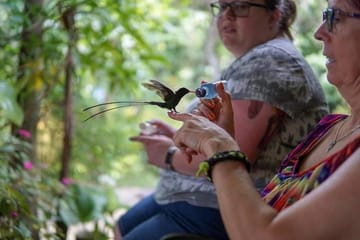Rocklands Bird Sanctuary and Montego Bay City Highlights Tour