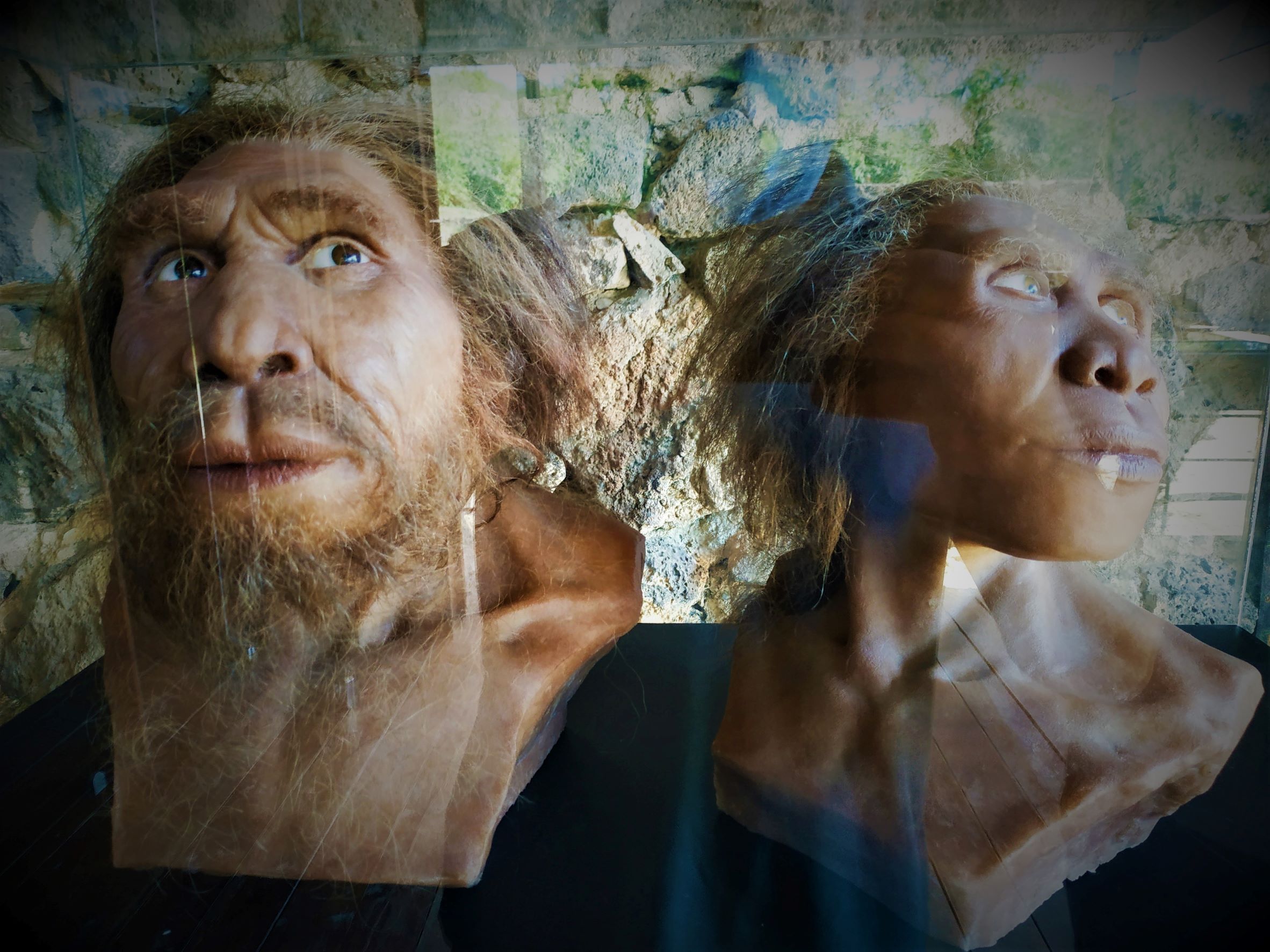 Private Tour to Dmanisi & Bolnisi from Tbilisi with Museums, Oldest Church & Lunch