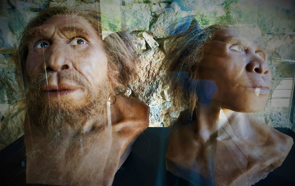 Explore Dmanisi & Bolnisi: Private Trip with Museums