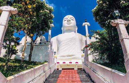 10-Day Adventure and Beach Tour in Sri Lanka