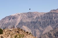 Colca Valley Overnight Tour from Arequipa