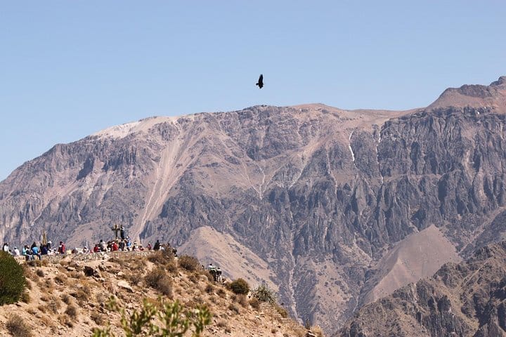 Colca Valley Overnight Tour from Arequipa