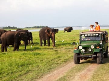 Sigiriya-n-ssafari-ffrom-trinco-1