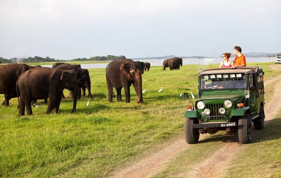 Private Sigiriya Rock and Jeep Safari Tour from Trincomalee