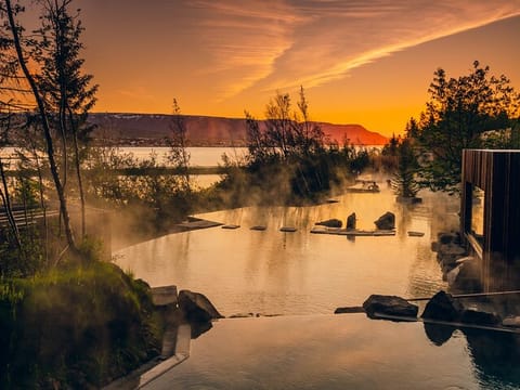  Forest Lagoon and Northern Lights Guided Night Tour 