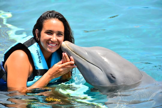 Dolphin Royal Connection  and manatee interaction en Cozumel