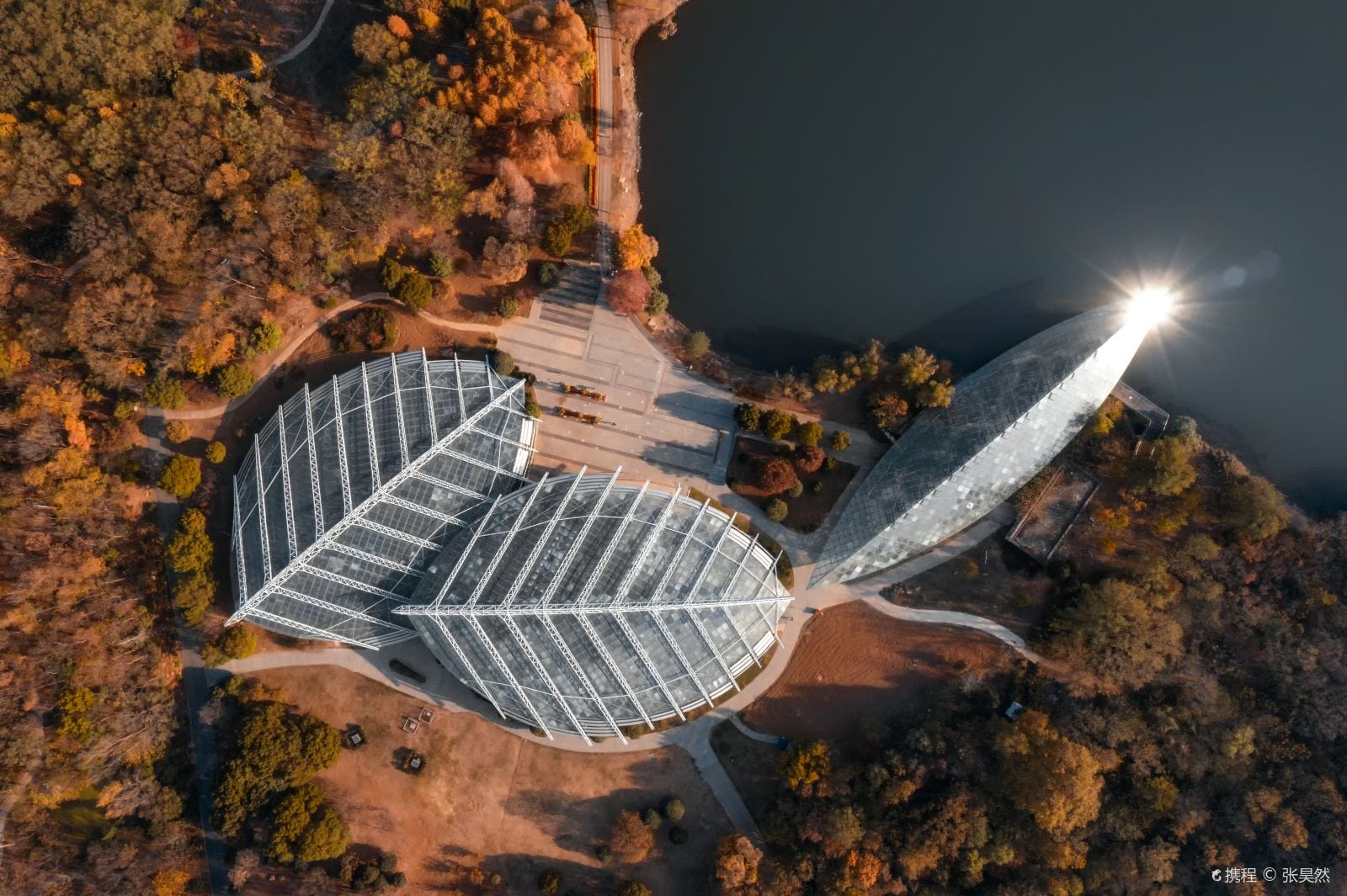 Nanjing's Autumn Blaze: A Tale of Two Gardens at Zhongshan Botanical Garden