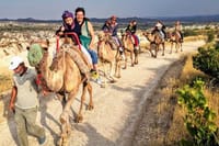 Group Tours