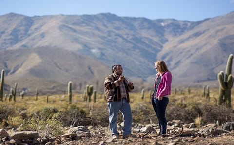 Full-Day Tour of Tafí del Valle and Quilmes Ruins from Tucumán