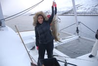 Fishing trip - Luxury Catamaran Arctic Princess 9