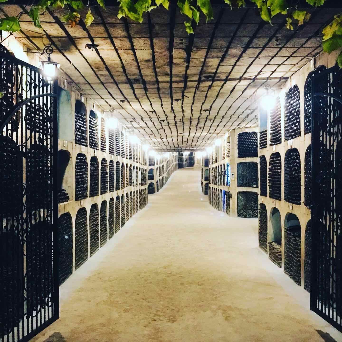 “Milestii Mici” was founded in 1969 and it is specialized in making collection wines, high quality wines, table wines and sparkling wines