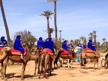 Camel Ride Tour in Marrakech with Berber Lifestyle Insights