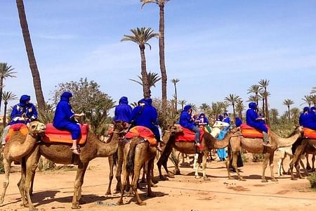 Camel Riding Adventure in Marrakech’s Scenic Palm Groves