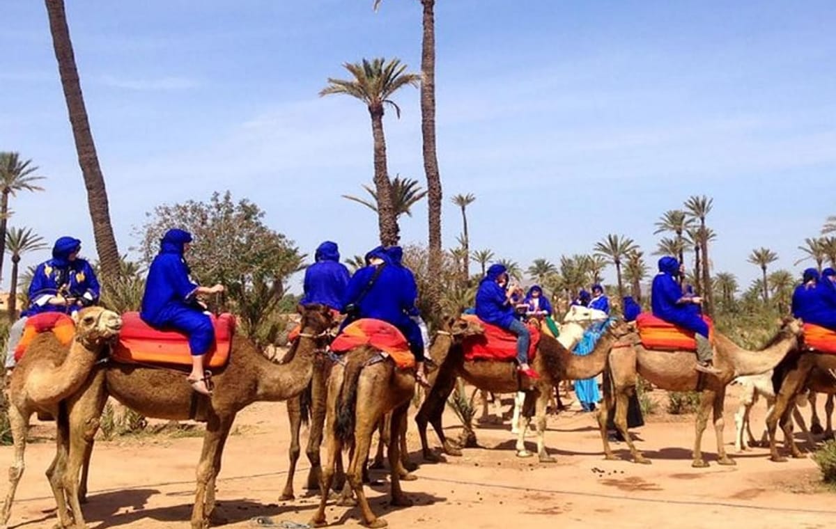 Marrakech activities: Camel ride tour Marrakech