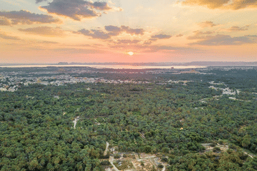 Private 4-Day Adventure Tour in Siwa Oasis, Egypt