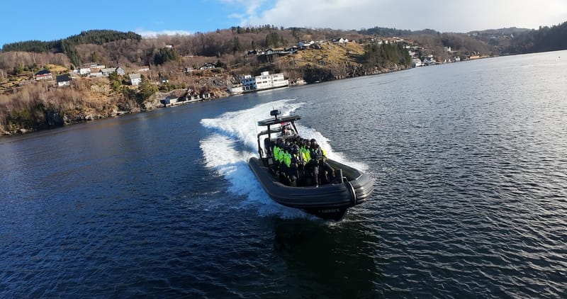 Alverstraumen RIB Safari