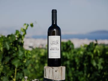 Culinary Tour of Dalmatia with Wine Tasting in Kaštel Novi