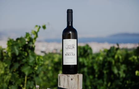 Culinary Tour of Dalmatia with Wine Tasting in Kaštel Novi