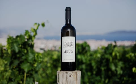 Culinary Tour of Dalmatia with Wine Tasting in Kaštel Novi