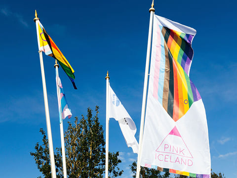 Reykjavík Pride 2027 Packaged | Queer History Walk & Gay Golden Circle, photo 3