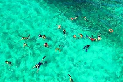 Mangrove tour,Horseback Riding, Snorkeling and beach in Roatan