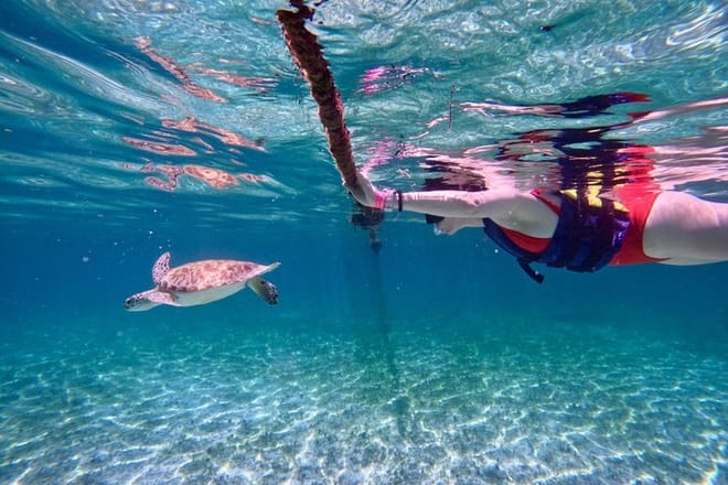 Santuario de tortugas Akumal Snorkel Experiencia marina