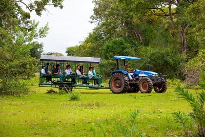 Pantanal Norte Classic Package 2 – 3 or 4 nights