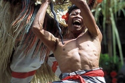 Private Tour of Ubud Center and Surroundings