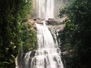 Nauyaca Waterfall Nature Tour from Manuel Antonio