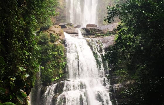 Nauyaca Waterfall Nature Tour from Manuel Antonio
