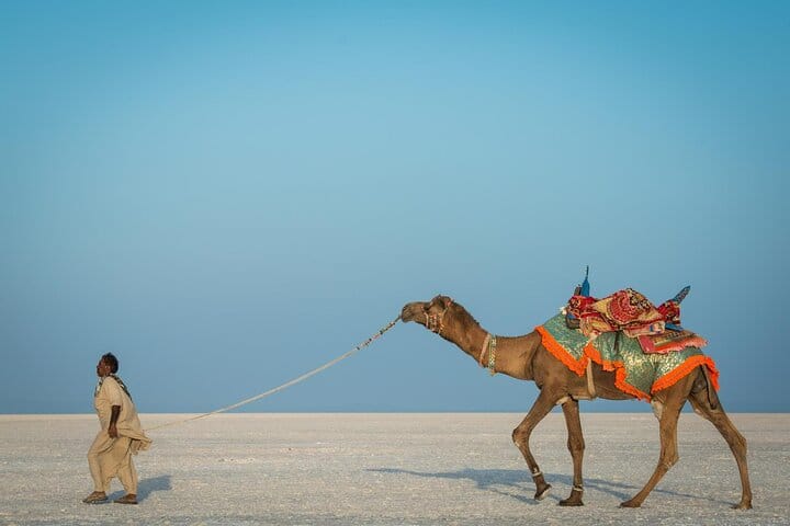 Archaeological & Natural Wonders – Extension Tour from Ahmedabad