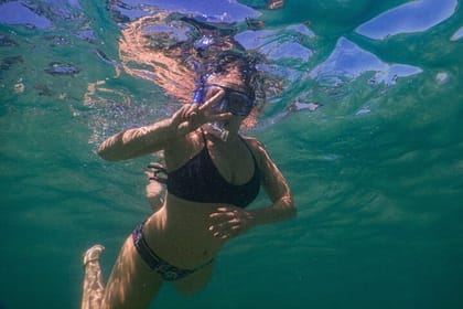 Private Snorkeling Tour In Sydney’s Marine Reserve