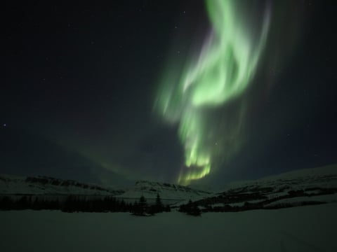 DT 310 Private Superjeep Northern Lights, photo 3