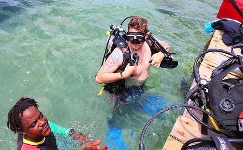 Shore Dive and Wildlife Experience in Roatan, Honduras