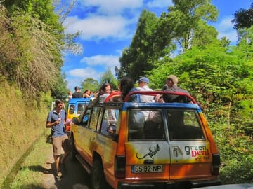 Full Day 4x4 Tour of Ponta Do Sol and Porto Moniz, Madeira