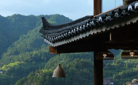 Miao Village Cultural Tour with Ceremony and Ciba Workshop from Guiyang