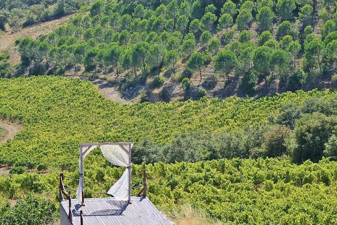 Quinta da Murta winery 