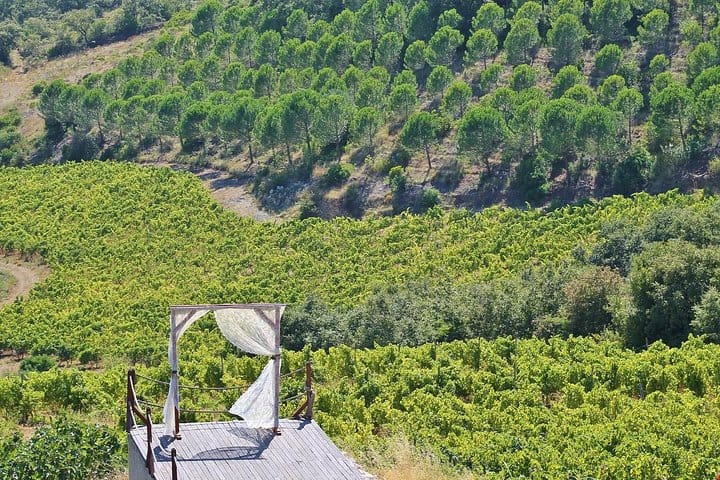 Quinta da Murta winery 