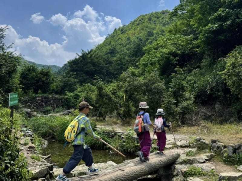 Shanghai: Zoumagang Hike Through Ancient Torreya Forest