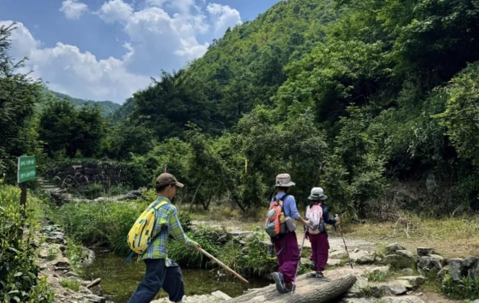 Hike Through Ancient Torreya Forest at Kuaiji Mountain from Shanghai