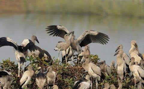 Coastal and Valley Tour from Vizag to Chennai, India