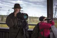 Bird watching, Nature & Wildlife 5