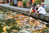 Full Day Tour - Best of Ubud with Visit Kintamani Volcano 7