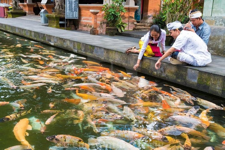 Full Day Tour - Best of Ubud with Visit Kintamani Volcano 7