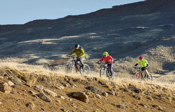 Patagonian Safari: Exploring Nature by Bike