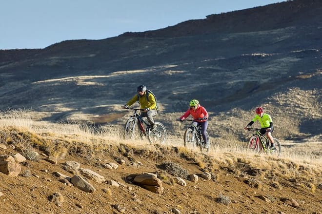 Patagonian Safari: Exploring Nature by Bike photo 2