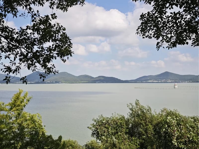 Shanghai: Taihu Lake Blue Greenway Private Day Trip