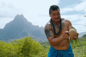 4x4 Safari Tour with Private Swing Viewpoint in Moorea