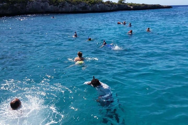 5 tours in 1 (Eco Farm/Horseback/City Tour/Buggy/Zipline)